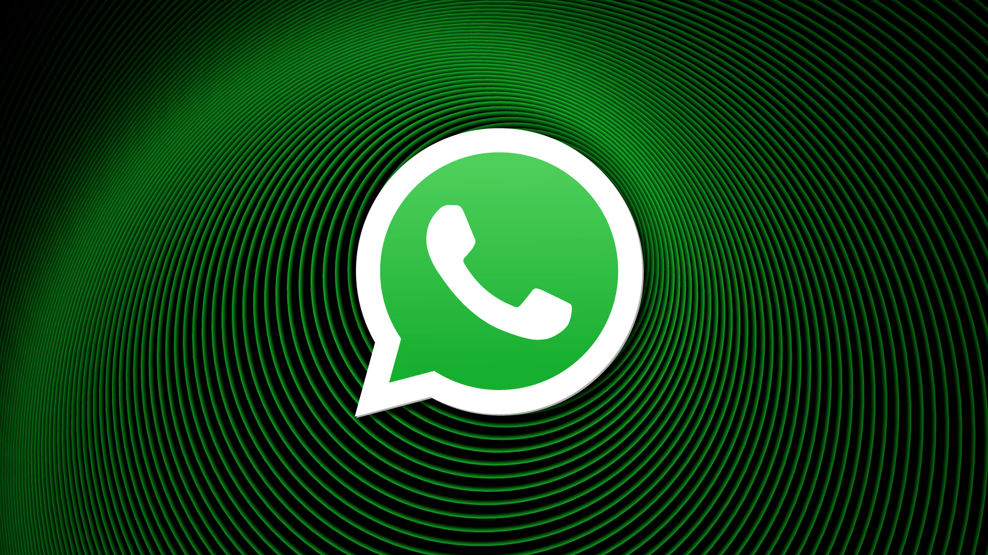 WhatsApp寻客软件
