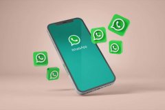 WhatsApp寻客软件助力您的营销！