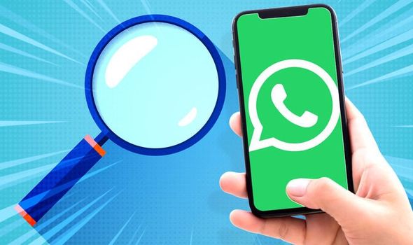 WhatsApp号码检查工具