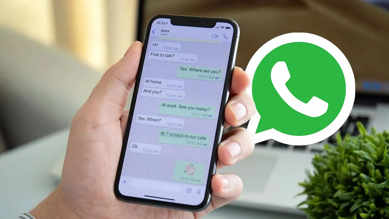 WhatsApp高效群发工具
