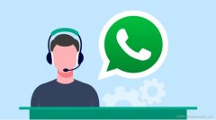 WhatsApp三大版本全面解析及Business版注册指南（2025最新）