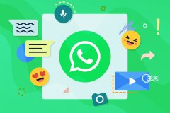 0基础也能上手！全网最实用的 WhatsApp 营销入门指南
