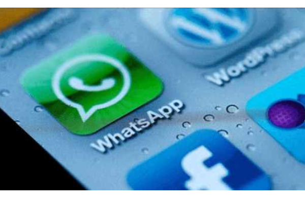 WhatsApp号码检查